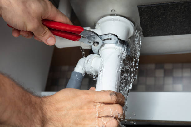 Best Flood restoration services  in Pana, IL