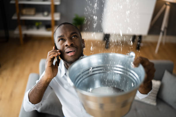Best Water damage cleanup near me  in Pana, IL