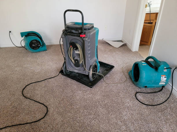 Best Professional water damage repair  in Pana, IL