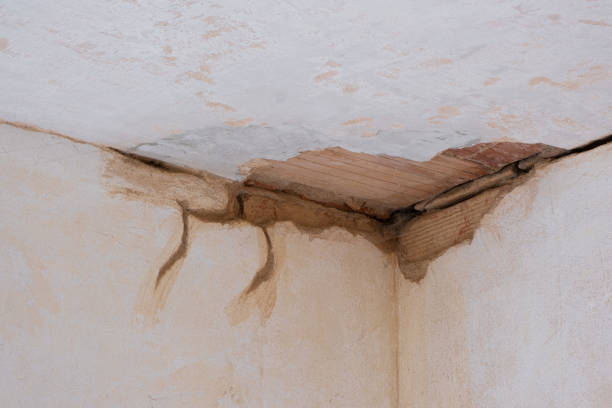 Best Fire Damage Restoration  in Pana, IL