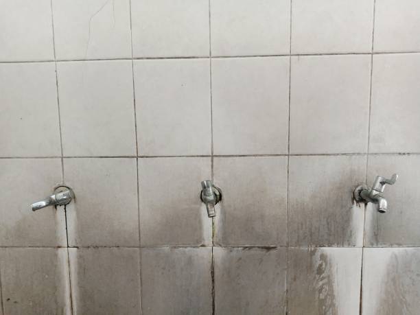 Best Water damage restoration near me  in Pana, IL