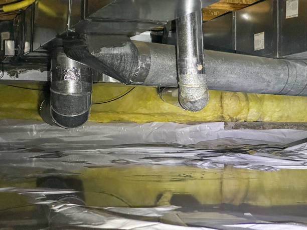 Best Flooded house restoration  in Pana, IL