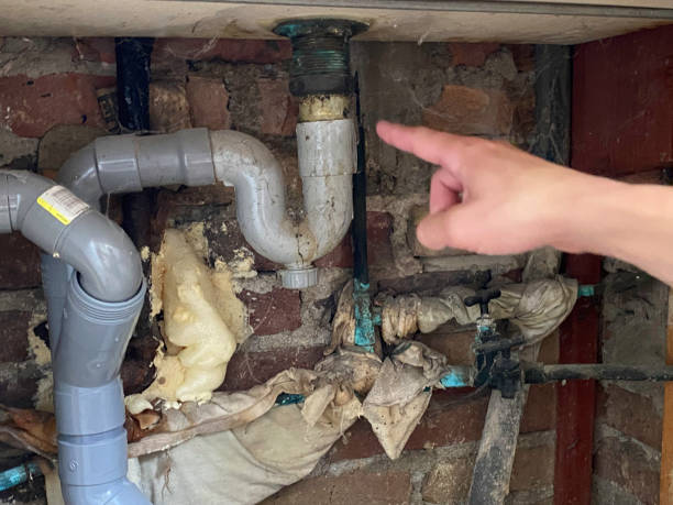 Best Residential water damage restoration  in Pana, IL